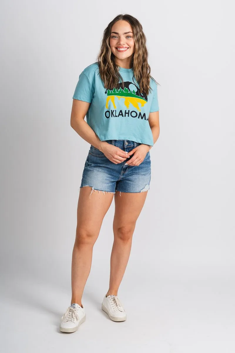 Bison landscape crop t-shirt blue