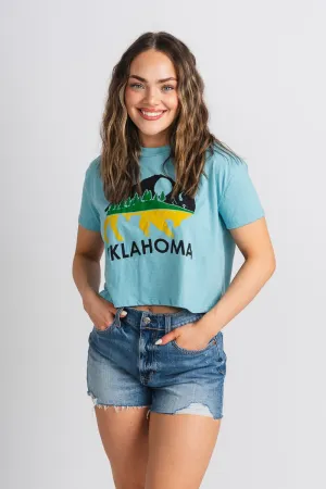 Bison landscape crop t-shirt blue