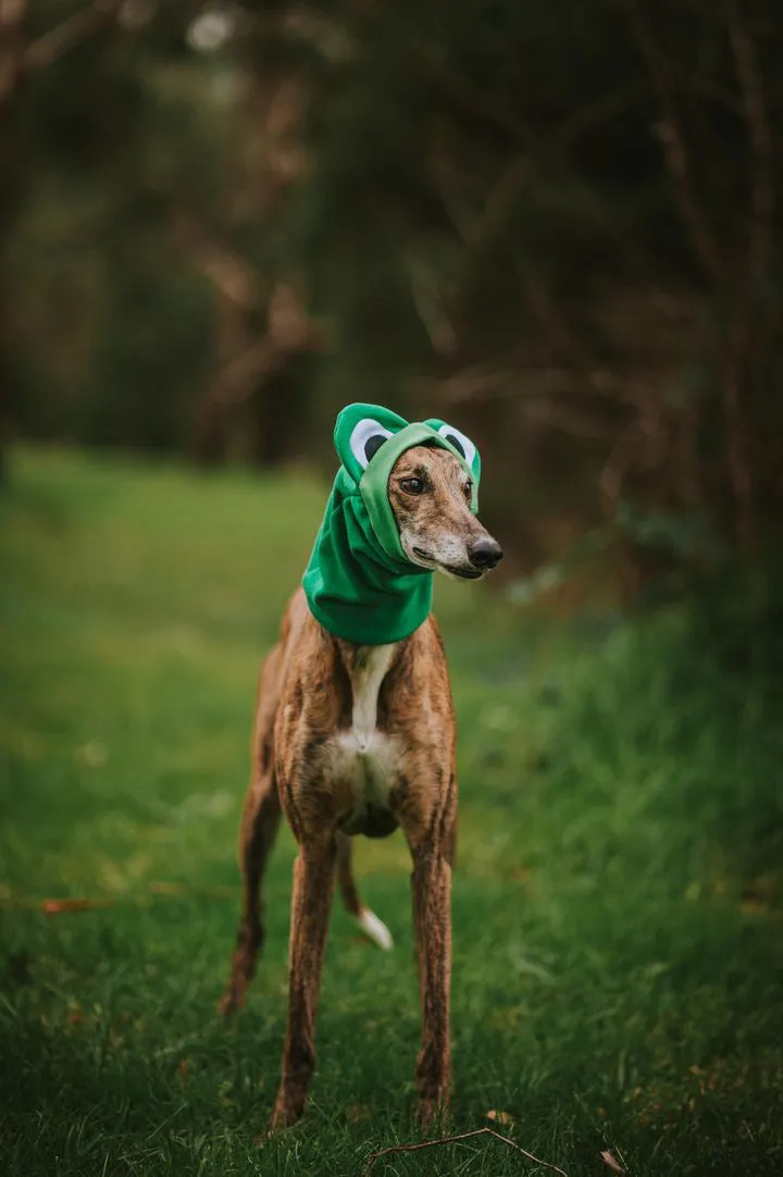 Frog Snoodie
