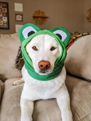 Frog Snoodie