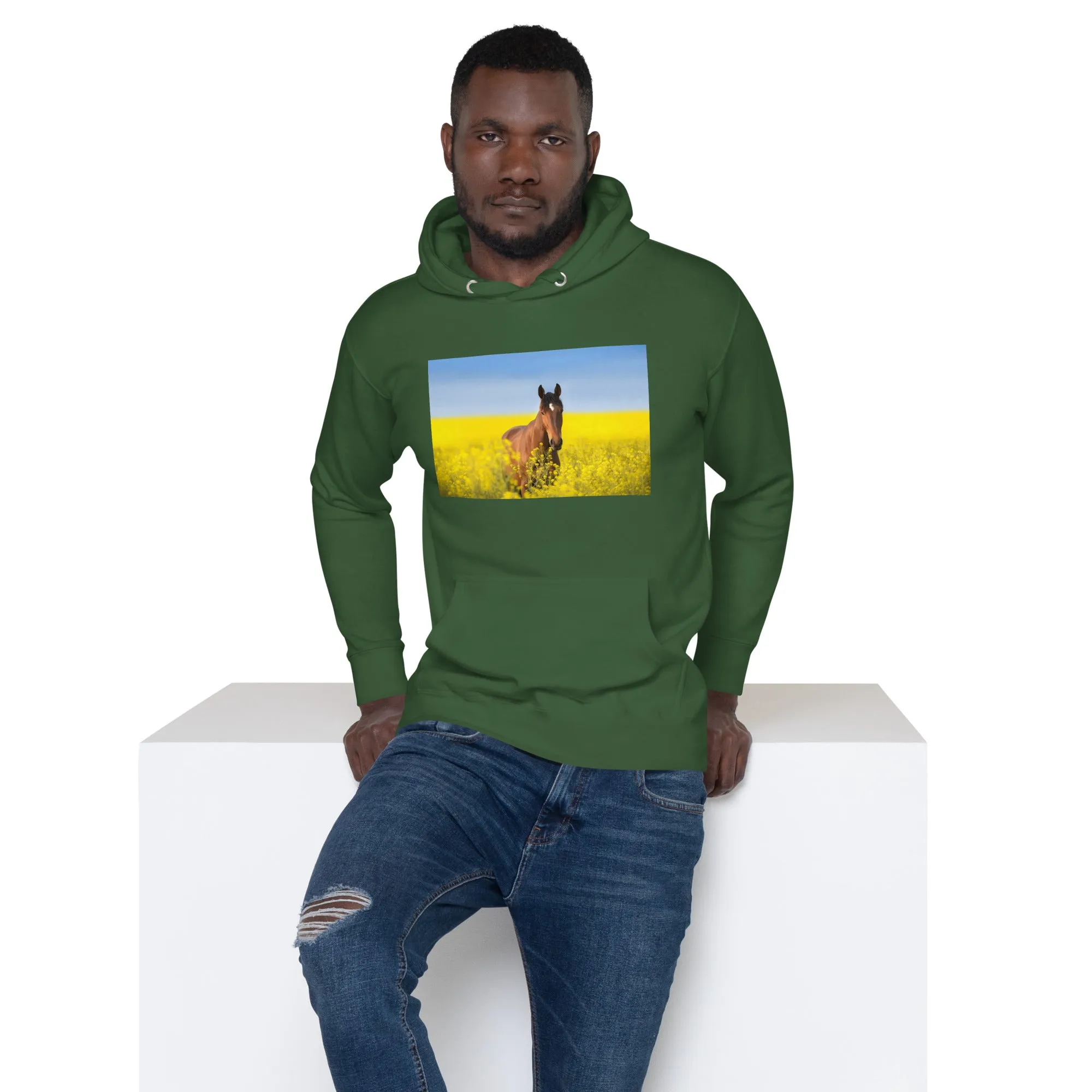 Hoodie Mens Designer (Hoodies Mens - Horse 0024)