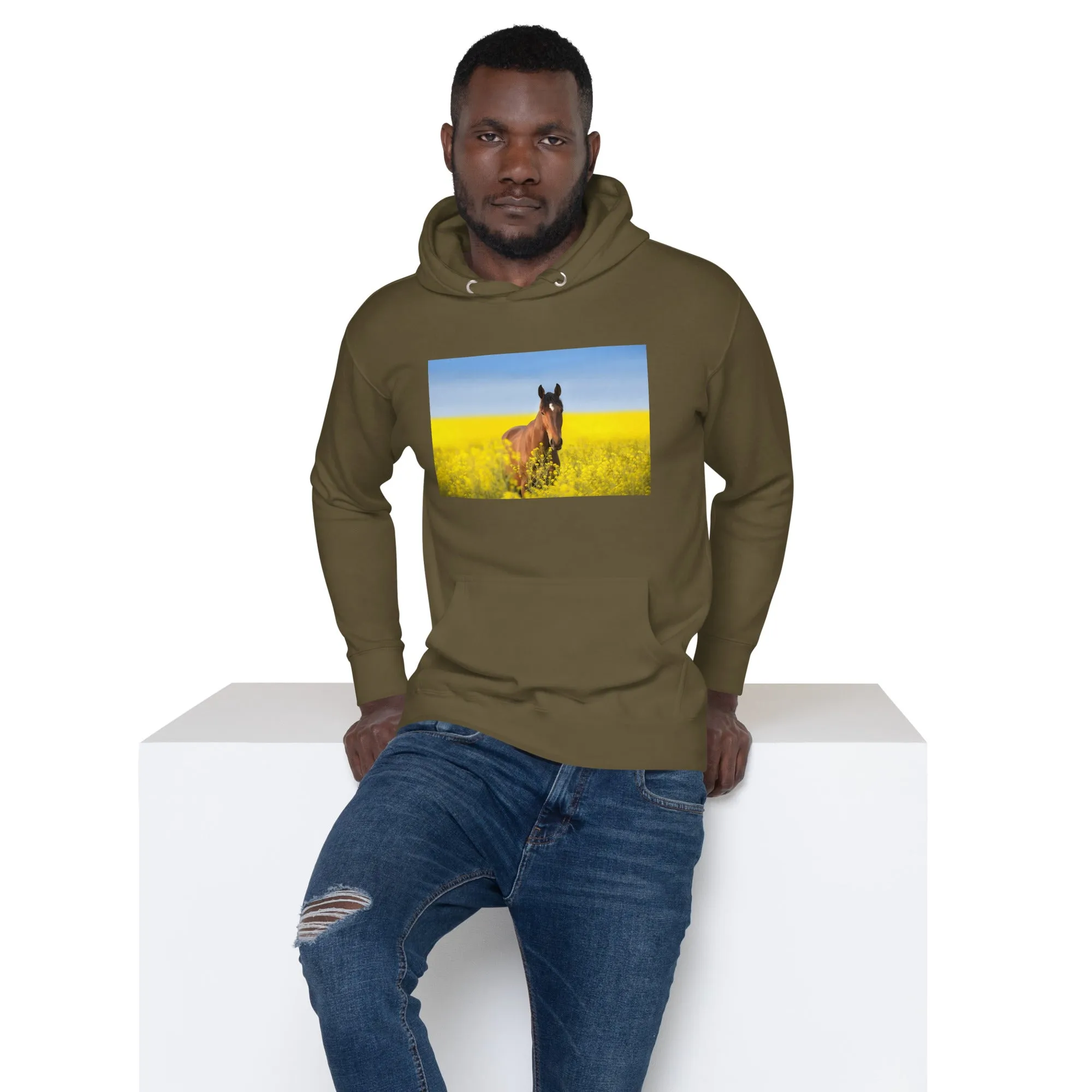 Hoodie Mens Designer (Hoodies Mens - Horse 0024)