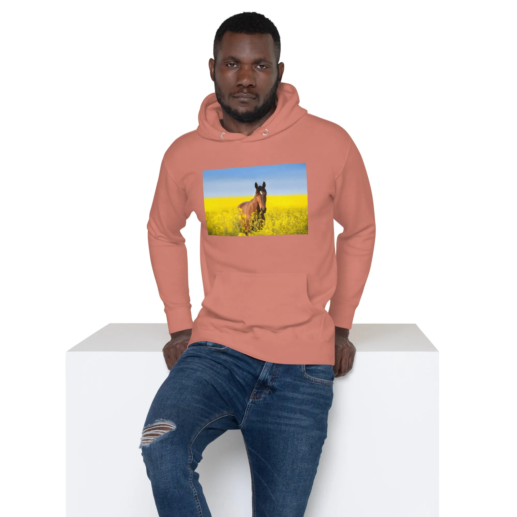 Hoodie Mens Designer (Hoodies Mens - Horse 0024)