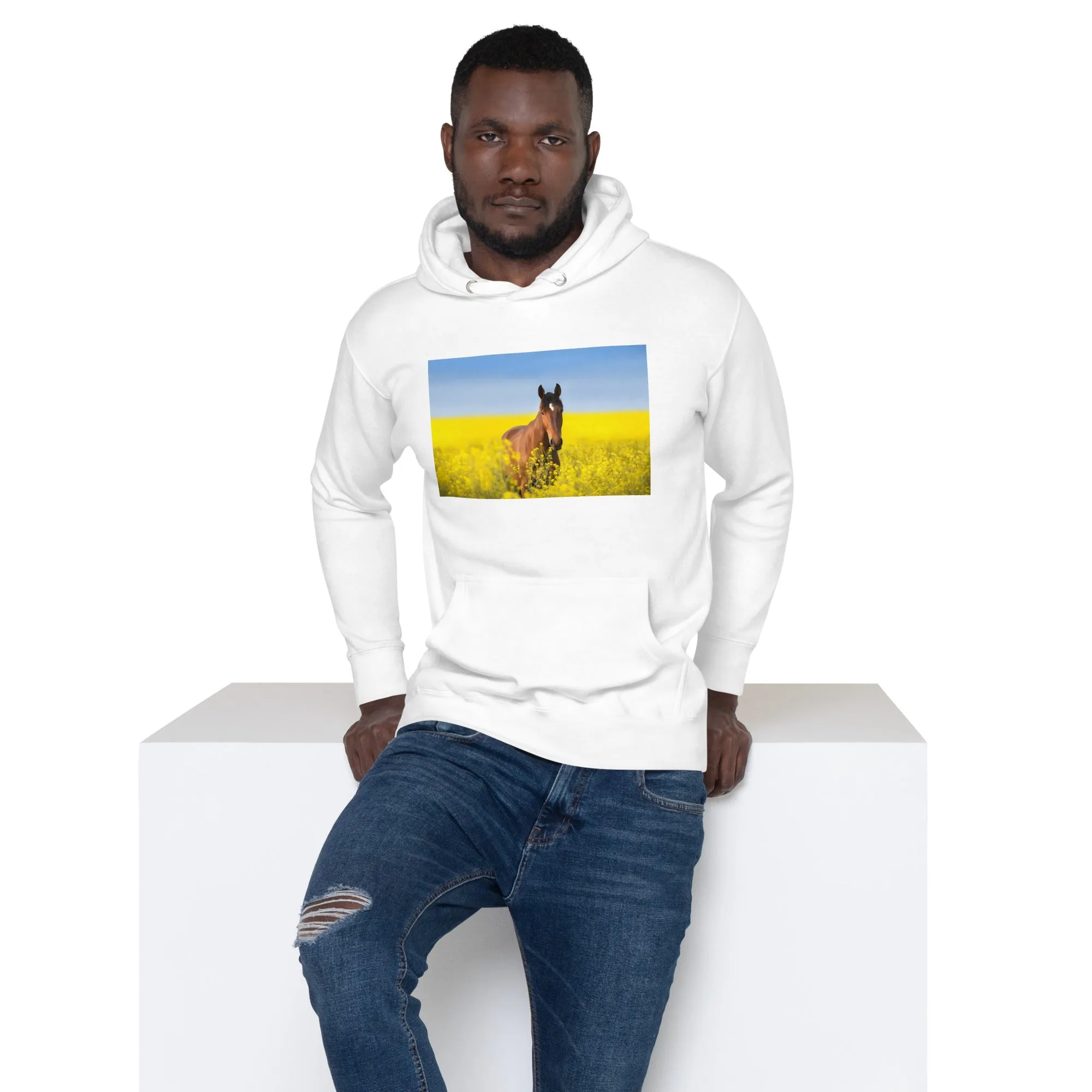 Hoodie Mens Designer (Hoodies Mens - Horse 0024)