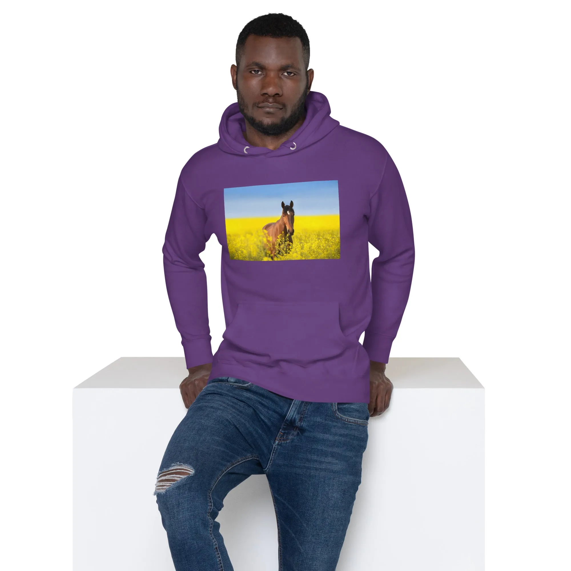 Hoodie Mens Designer (Hoodies Mens - Horse 0024)