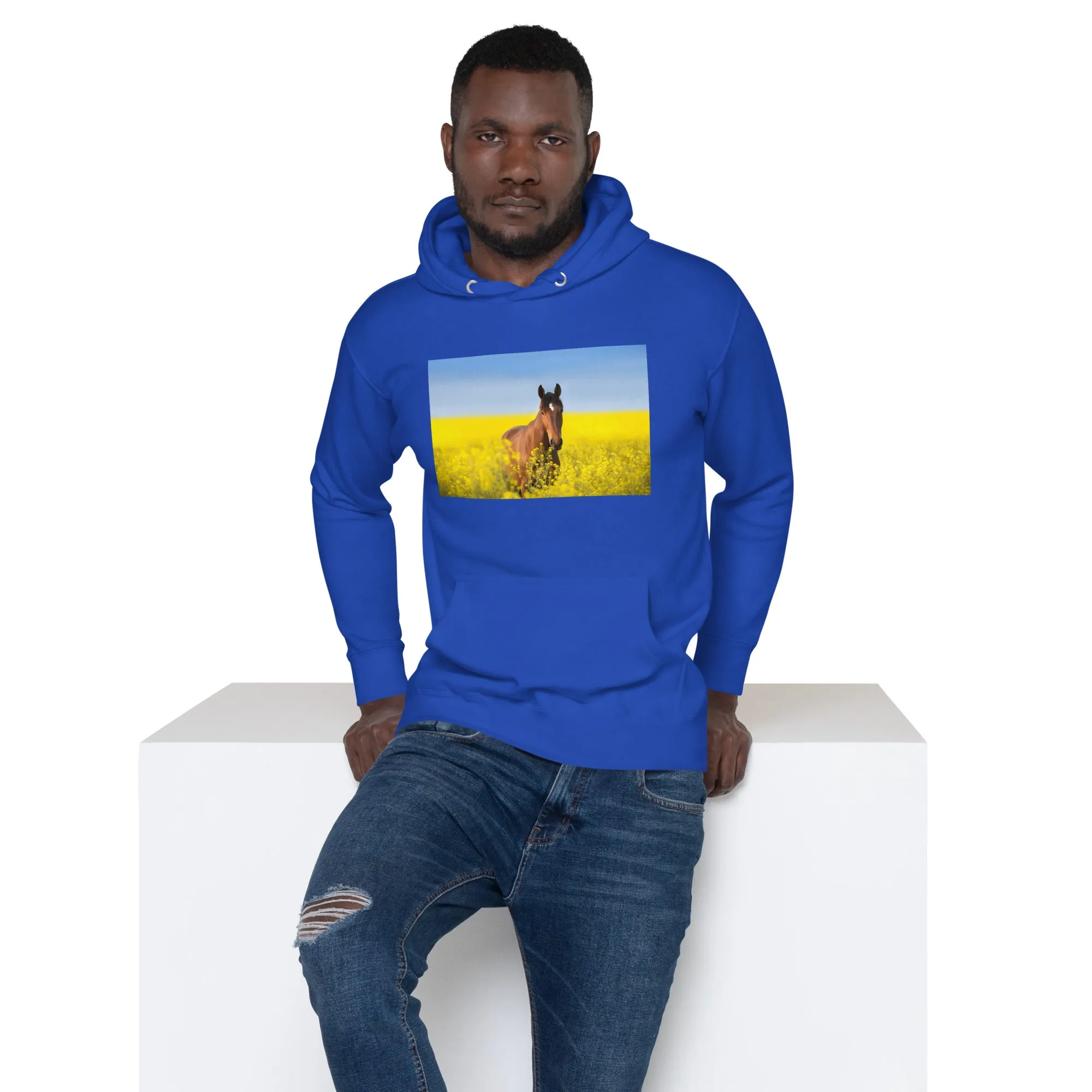 Hoodie Mens Designer (Hoodies Mens - Horse 0024)