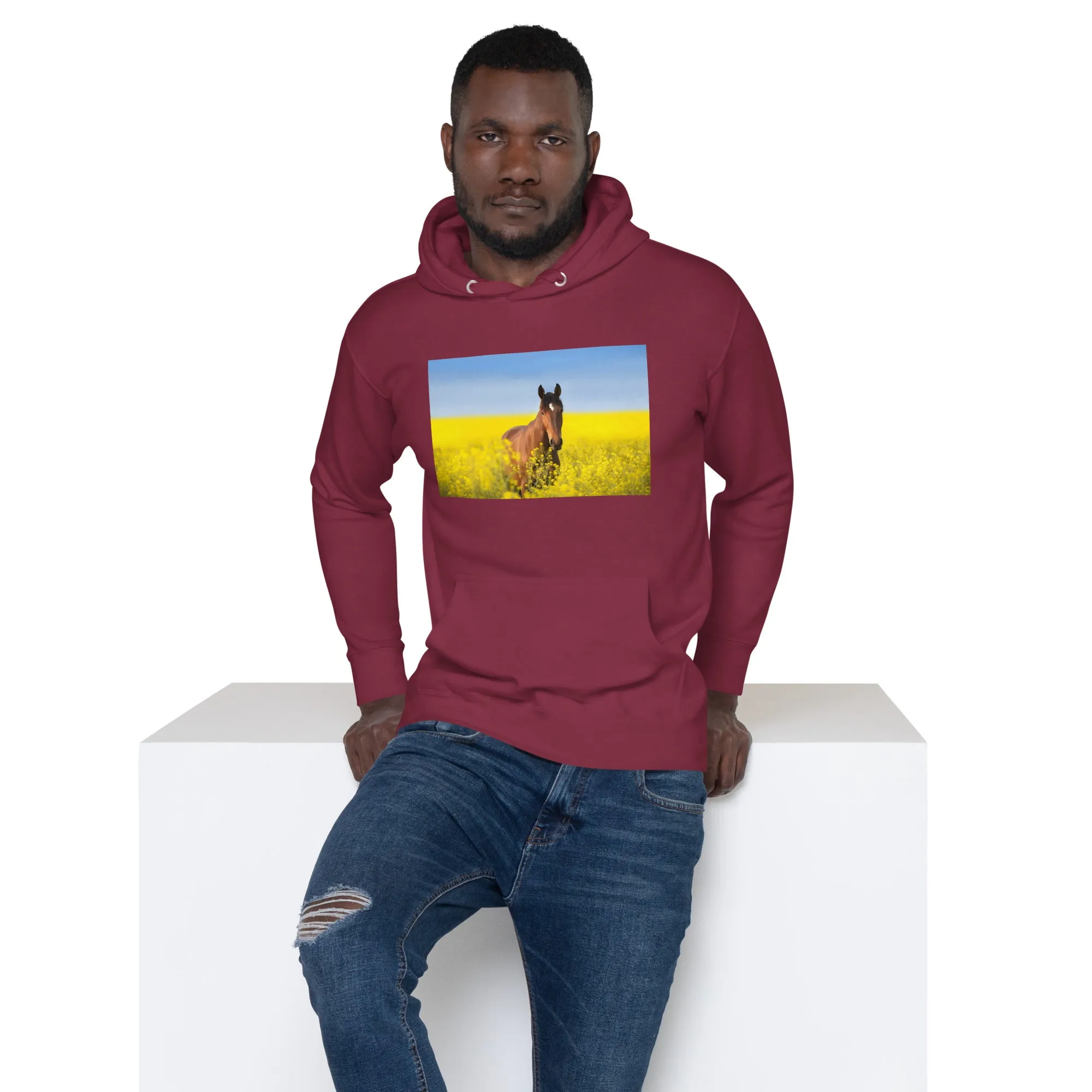 Hoodie Mens Designer (Hoodies Mens - Horse 0024)