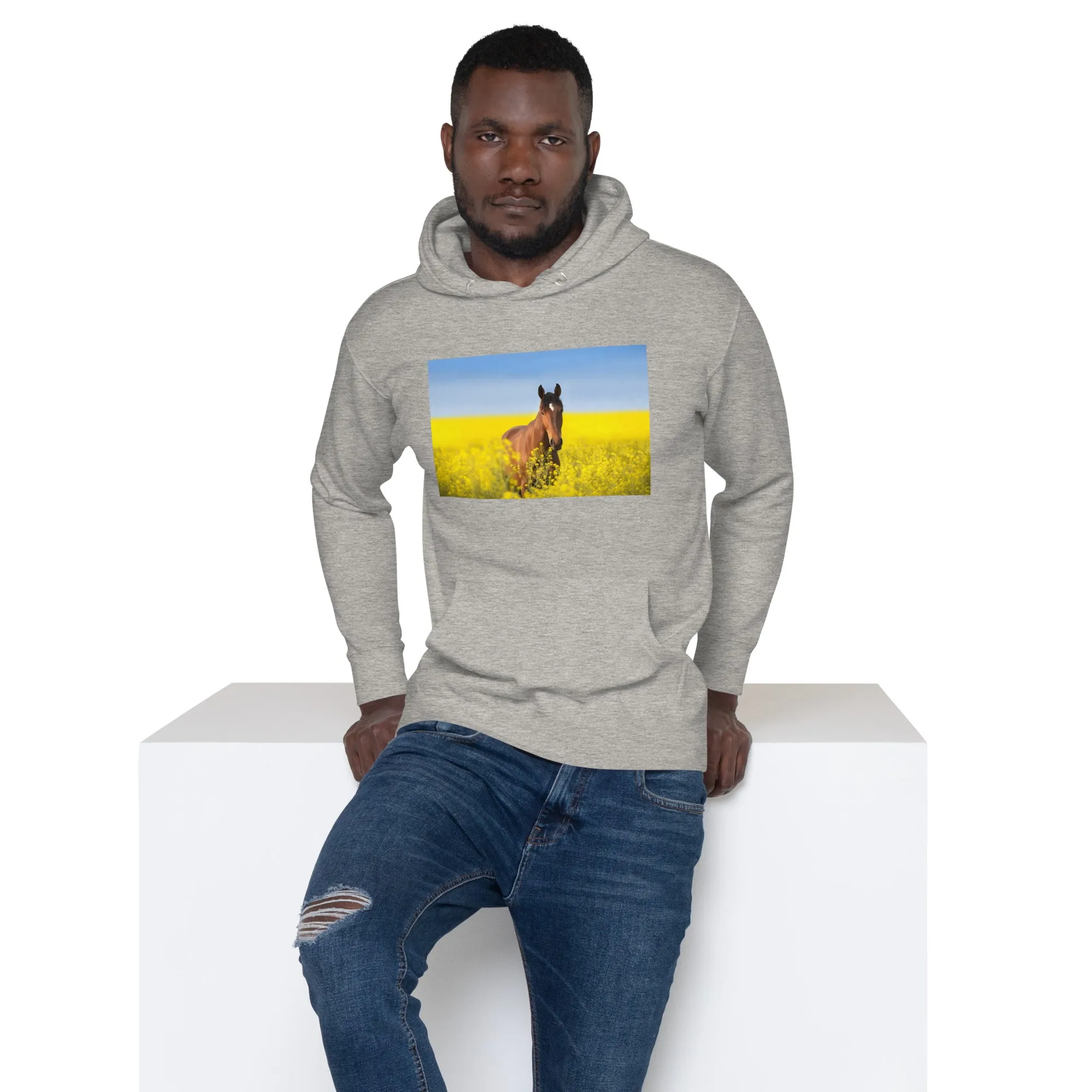 Hoodie Mens Designer (Hoodies Mens - Horse 0024)