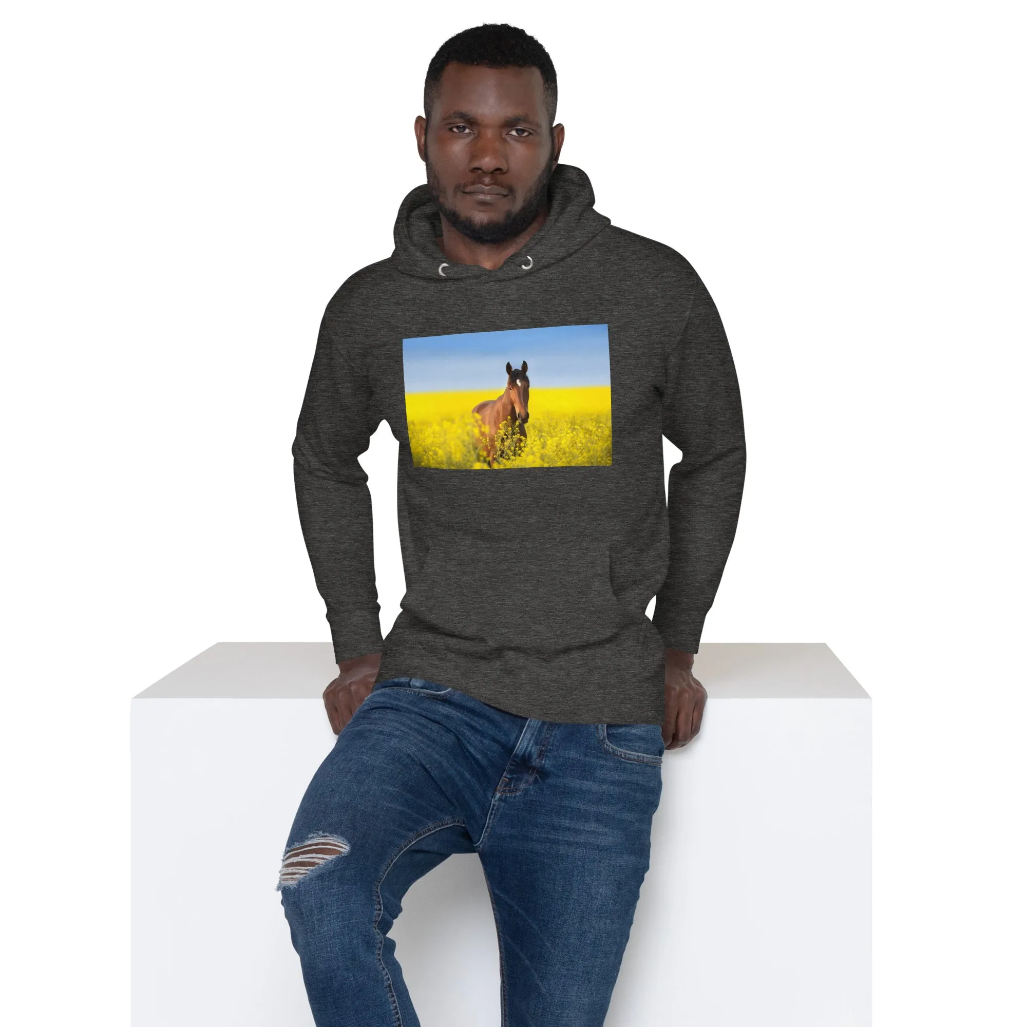 Hoodie Mens Designer (Hoodies Mens - Horse 0024)